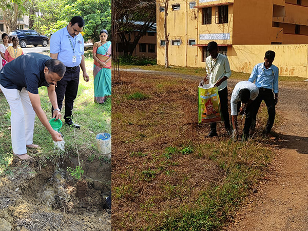 Tree Plantation Program (NSS)